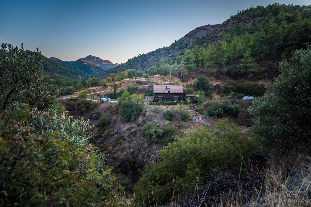 *2 Bdr Log House /Mountains/Queen Bed/Fireplace Гурри Экстерьер фото